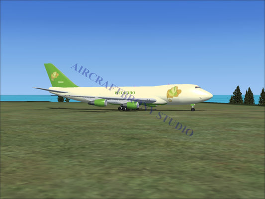 Pistachio Boeing 747-200 (Digital Image) Digital Image