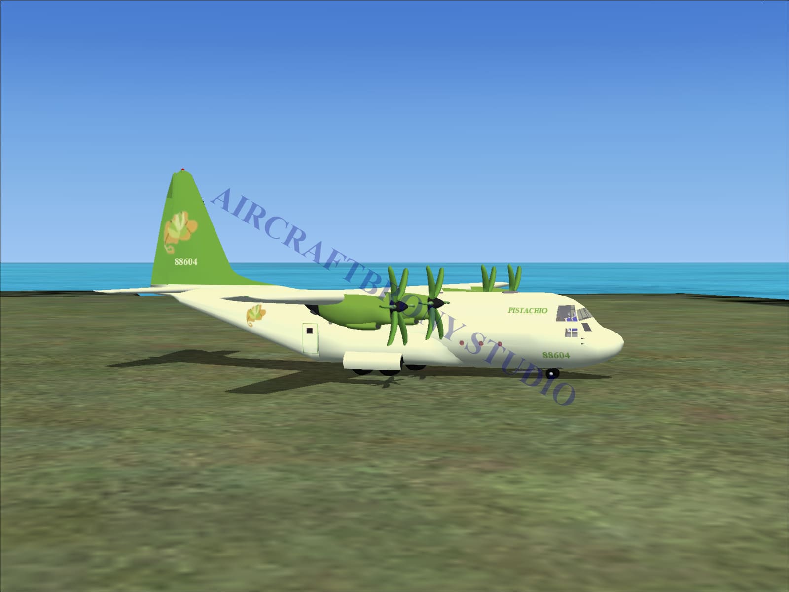 Pistachio Lockheed C-130 (Digital Image) Digital Image