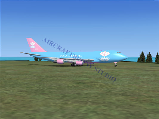 Ponyville Day Spa Boeing 747-200 (Digital Image) Digital Image
