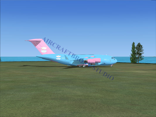 Ponyville Day Spa Boeing C-17 (Digital Image) Digital Image