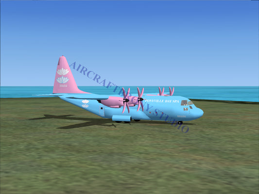 Ponyville Day Spa Lockheed C-130 (Digital Image) Digital Image