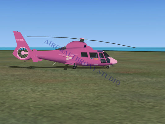 Ponyville Schoolhouse Miss Cheerilee Aerospatiale HH65 Dolphin (Digital Image) Digital Image