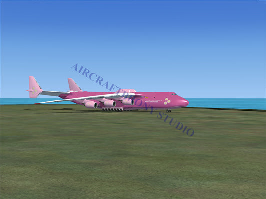 Pink cargo aircraft on a grassy field.