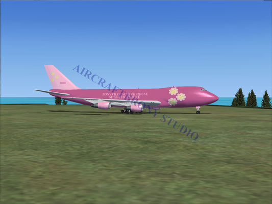 Ponyville Schoolhouse Miss Cheerilee Boeing 747-200 (Digital Image) Digital Image