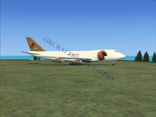 Pound Cake Boeing 747-200 (Digital Image) Digital Image