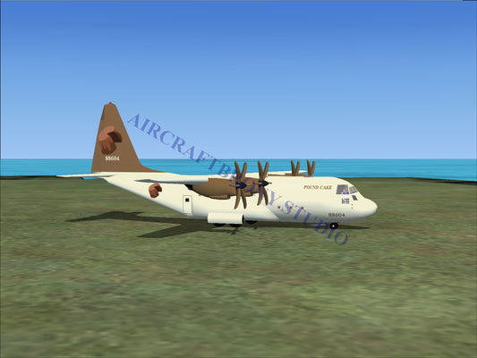Pound Cake Lockheed C-130 (Digital Image) Digital Image