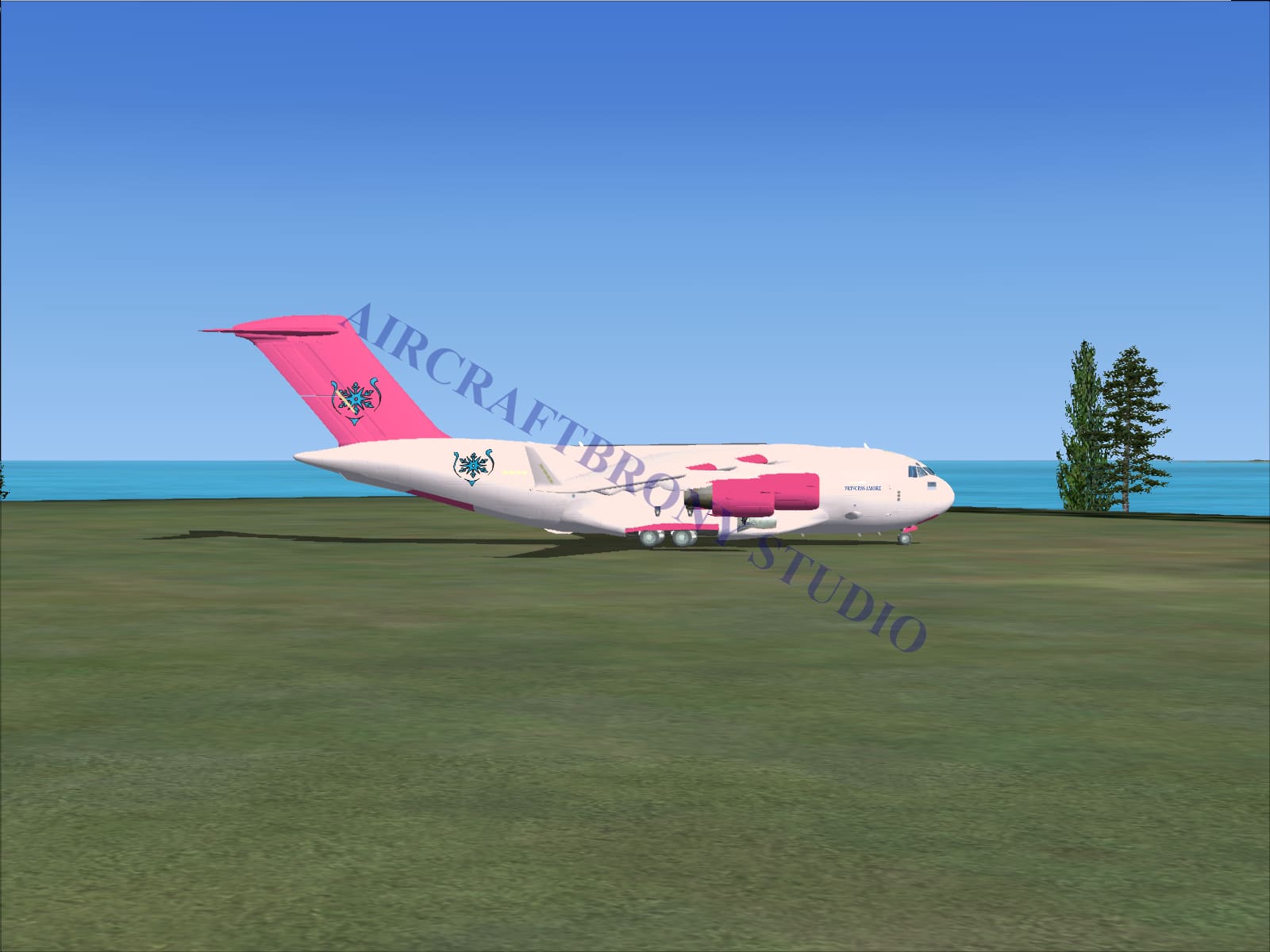 Princess Amore Boeing C-17 (Digital Image) Digital Image