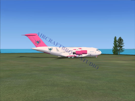 Princess Amore Boeing C-17 (Digital Image) Digital Image