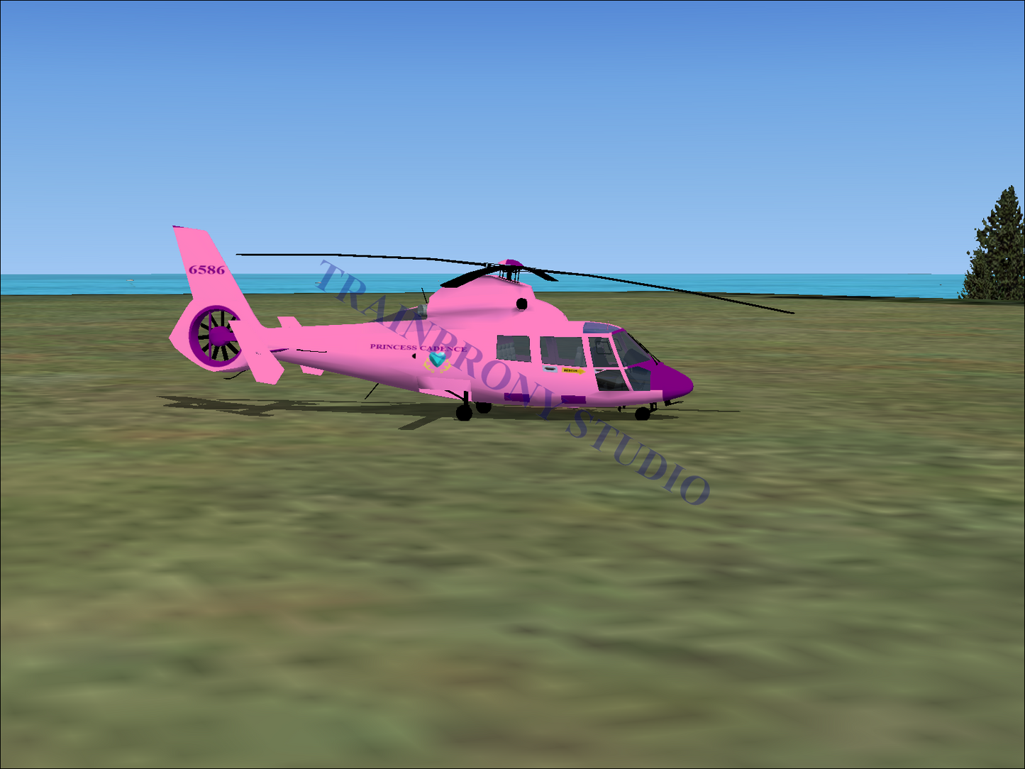 Princess Cadence Aerospatiale HH65 Dolphin (Digital Image) Digital Image