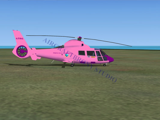 Princess Cadence Aerospatiale HH65 Dolphin (Digital Image) Digital Image