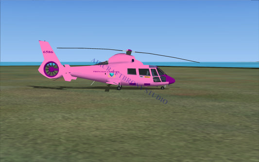 Princess Cadence Aerospatiale HH65 Dolphin (Digital Image) Digital Image