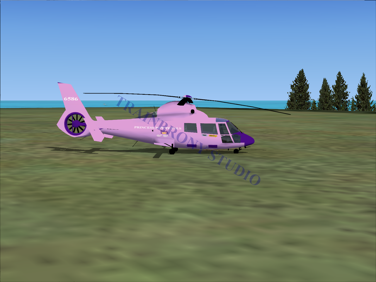 Princess Pipp Petals Aerospatiale HH65 Dolphin - Digital Image