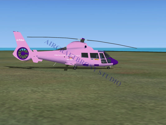 Princess Pipp Petals Aerospatiale HH65 Dolphin - Digital Image
