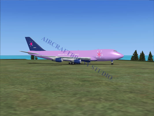 Princess Twilight Sparkle Boeing 747-200 (Digital Image) Digital Image