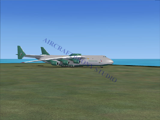 Boeing 747 cargo plane with green tail and white body.