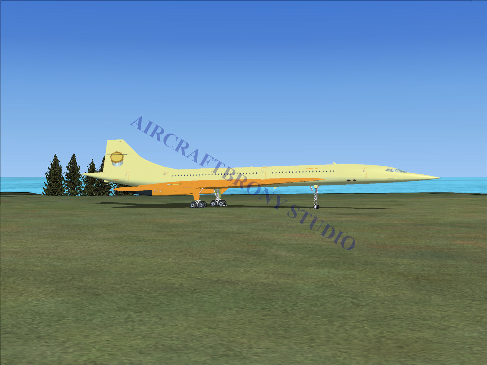 Pumpkin Cake Aerospatiale Concorde (Digital Image) Digital Image