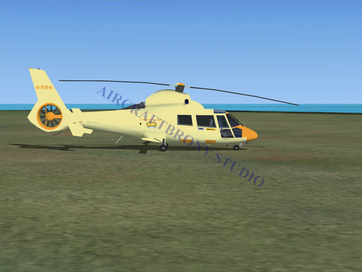 Pumpkin Cake Aerospatiale HH65 Dolphin (Digital Image) Digital Image