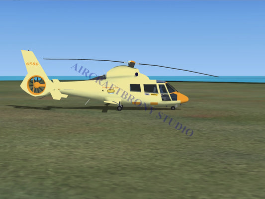 Pumpkin Cake Aerospatiale HH65 Dolphin (Digital Image) Digital Image