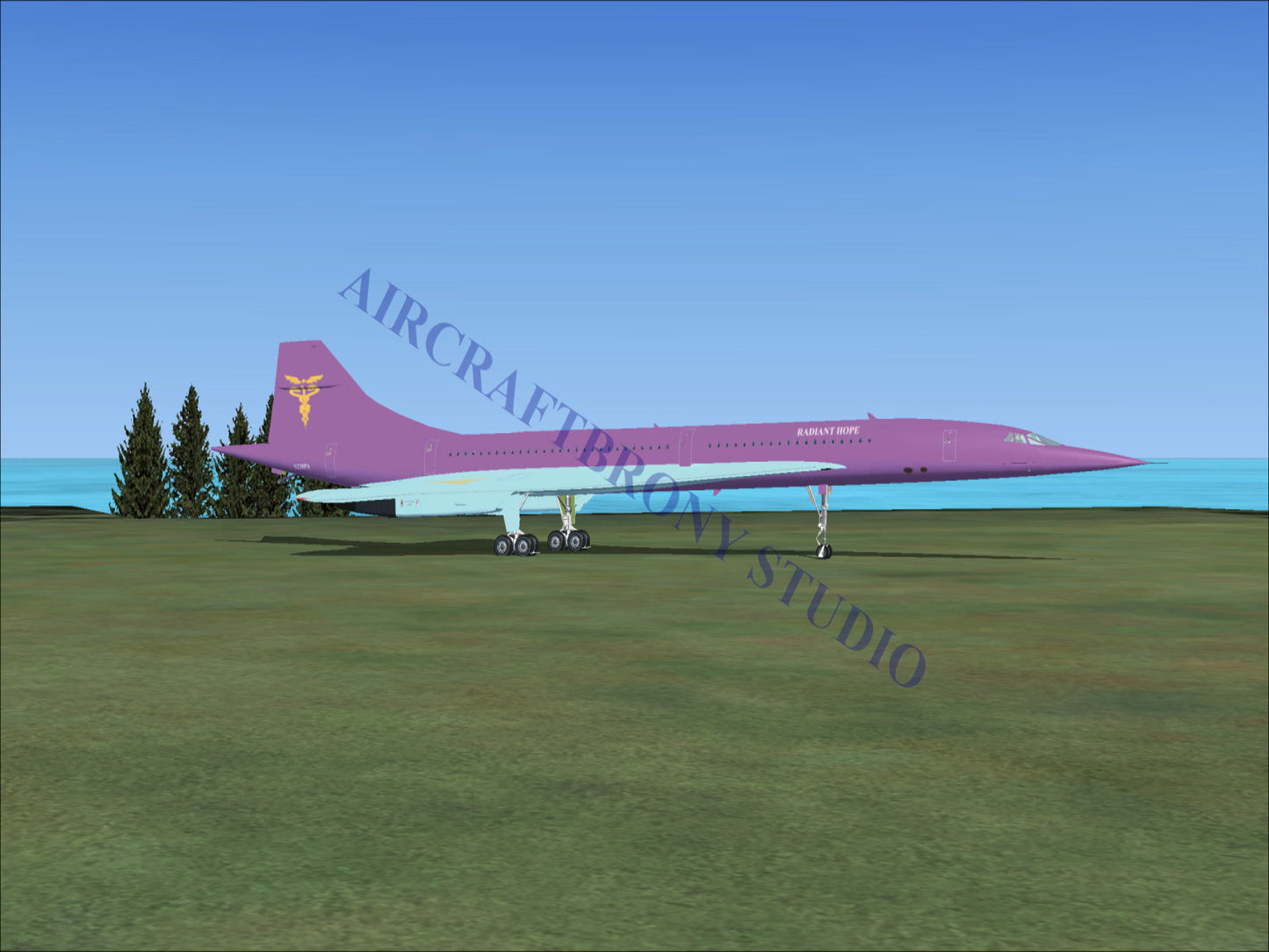 Radiant Hope Aerospatiale Concorde (Digital Image) Digital Image