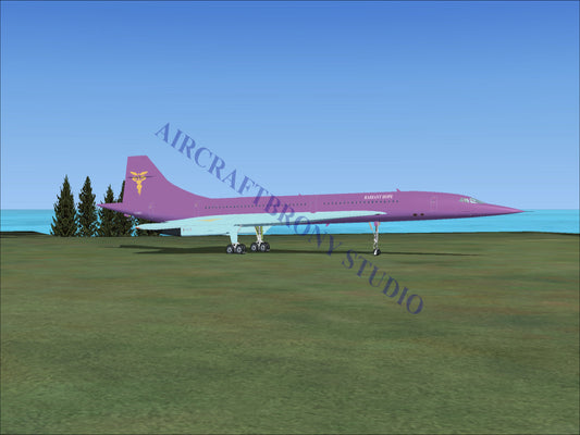 Radiant Hope Aerospatiale Concorde (Digital Image) Digital Image