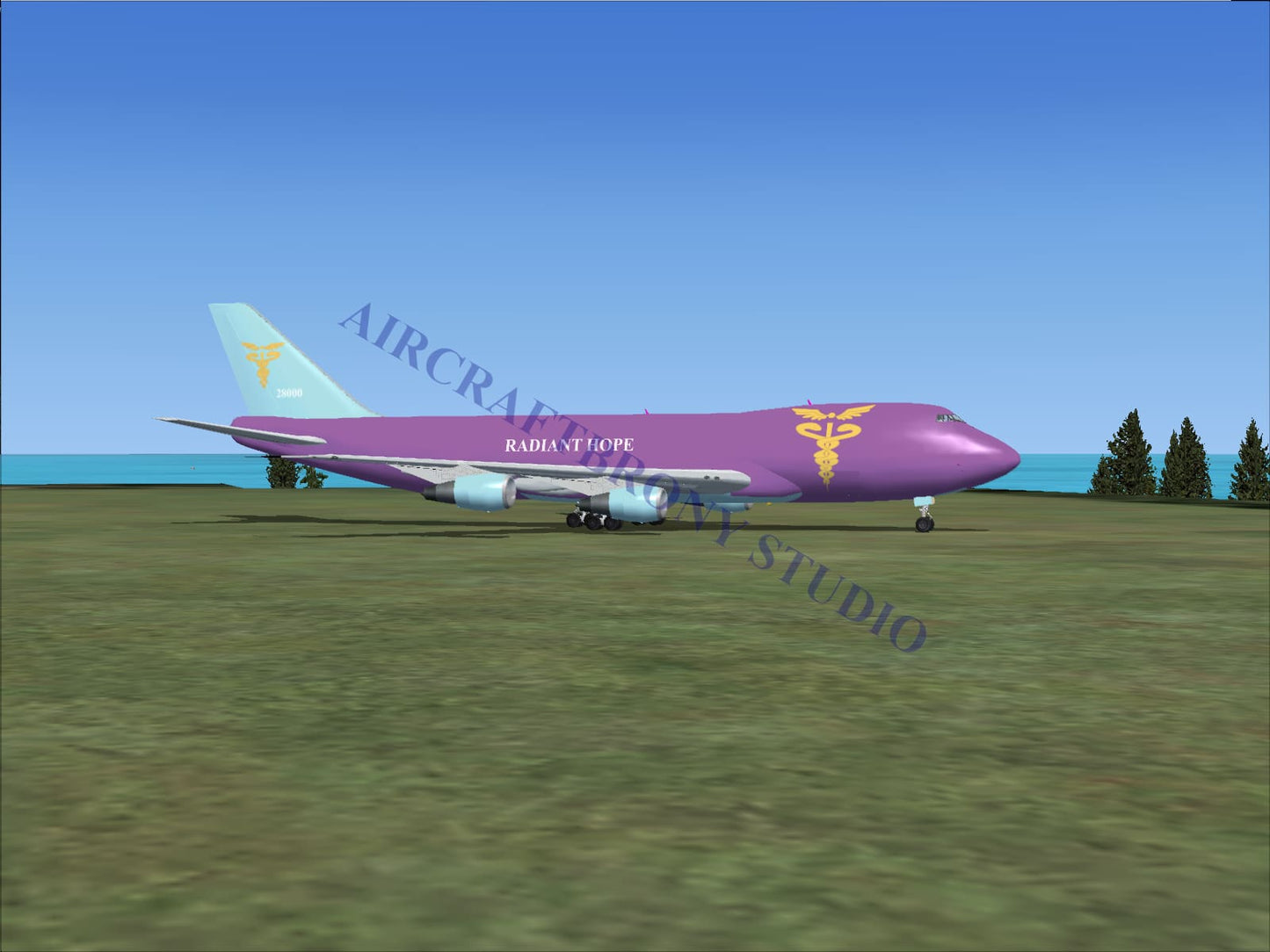 Radiant Hope Boeing 747-200 (Digital Image) Digital Image