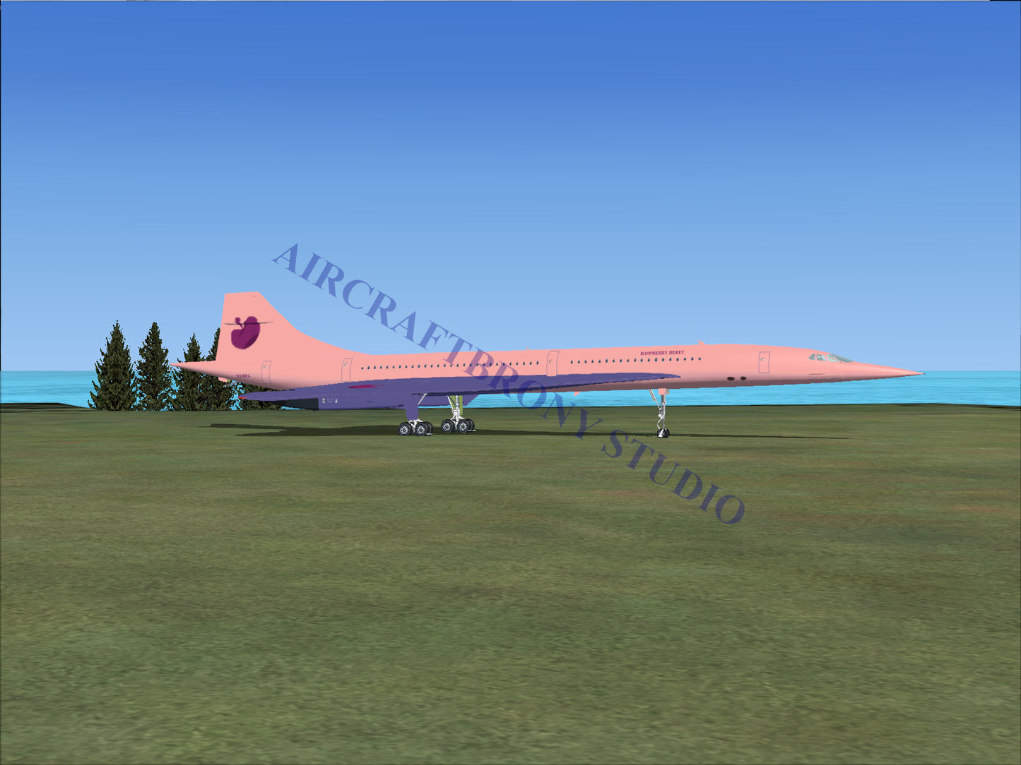 Raspberry Beret Aerospatiale Concorde (Digital Image) Digital Image