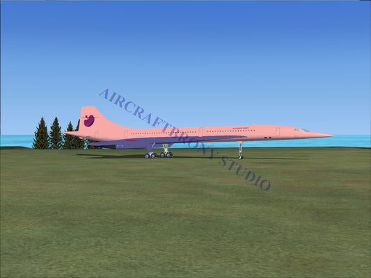 Raspberry Beret Aerospatiale Concorde (Digital Image) Digital Image