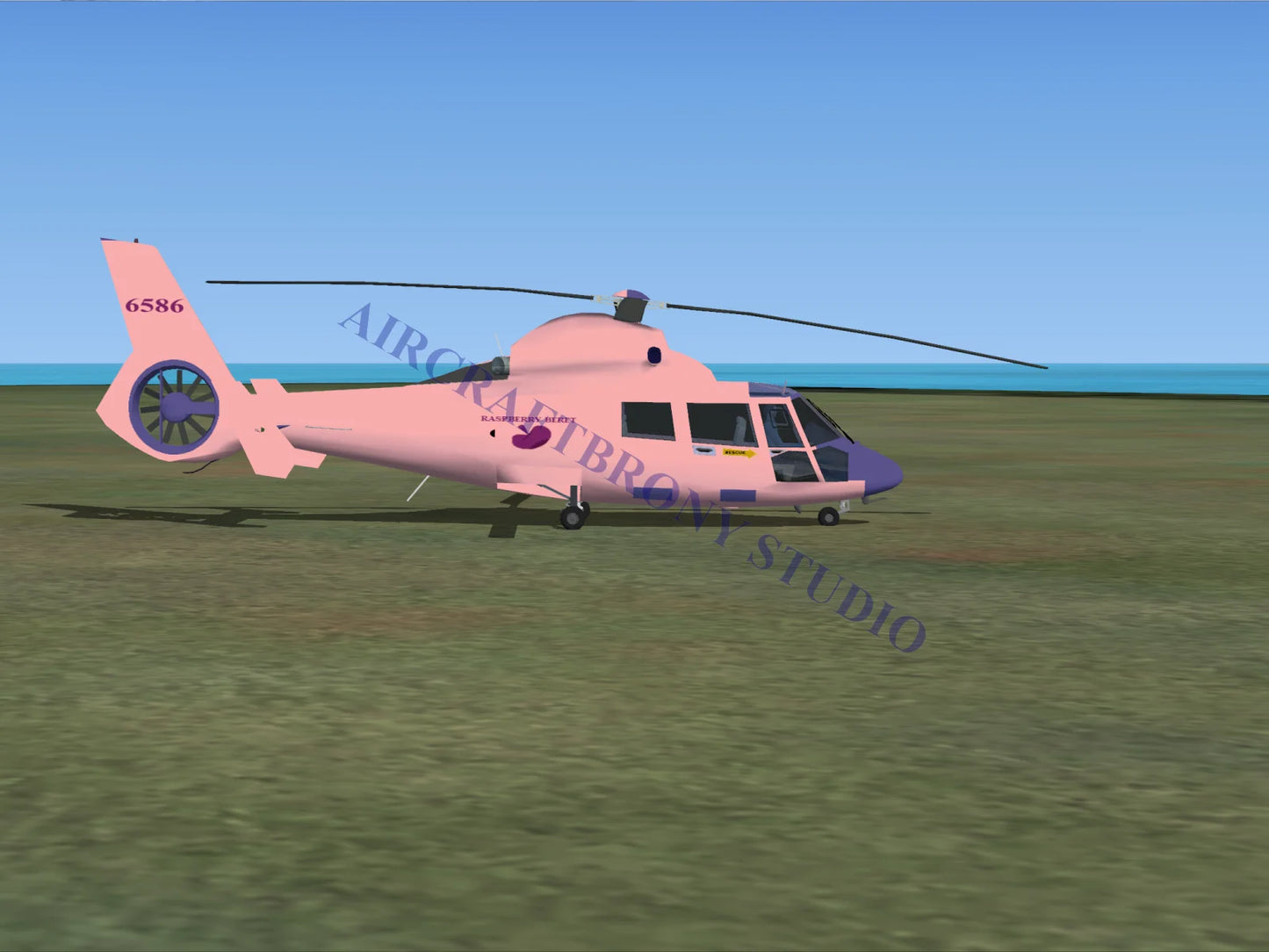Raspberry Beret Aerospatiale HH65 Dolphin (Digital Image) Digital Image