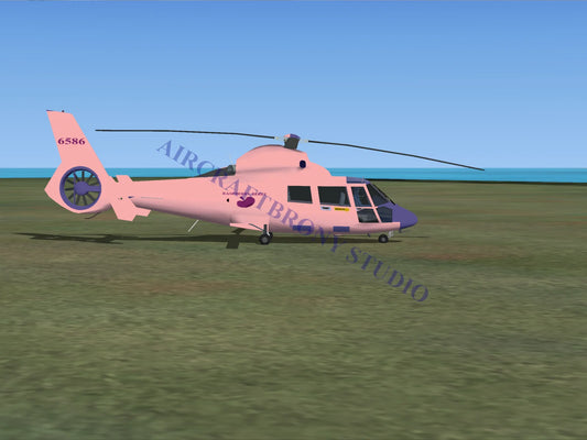 Raspberry Beret Aerospatiale HH65 Dolphin (Digital Image) Digital Image
