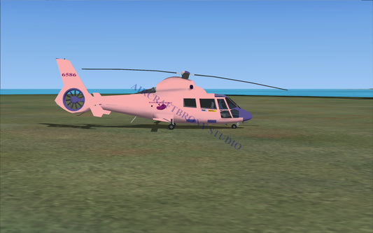 Raspberry Beret Aerospatiale HH65 Dolphin (Digital Image) Digital Image