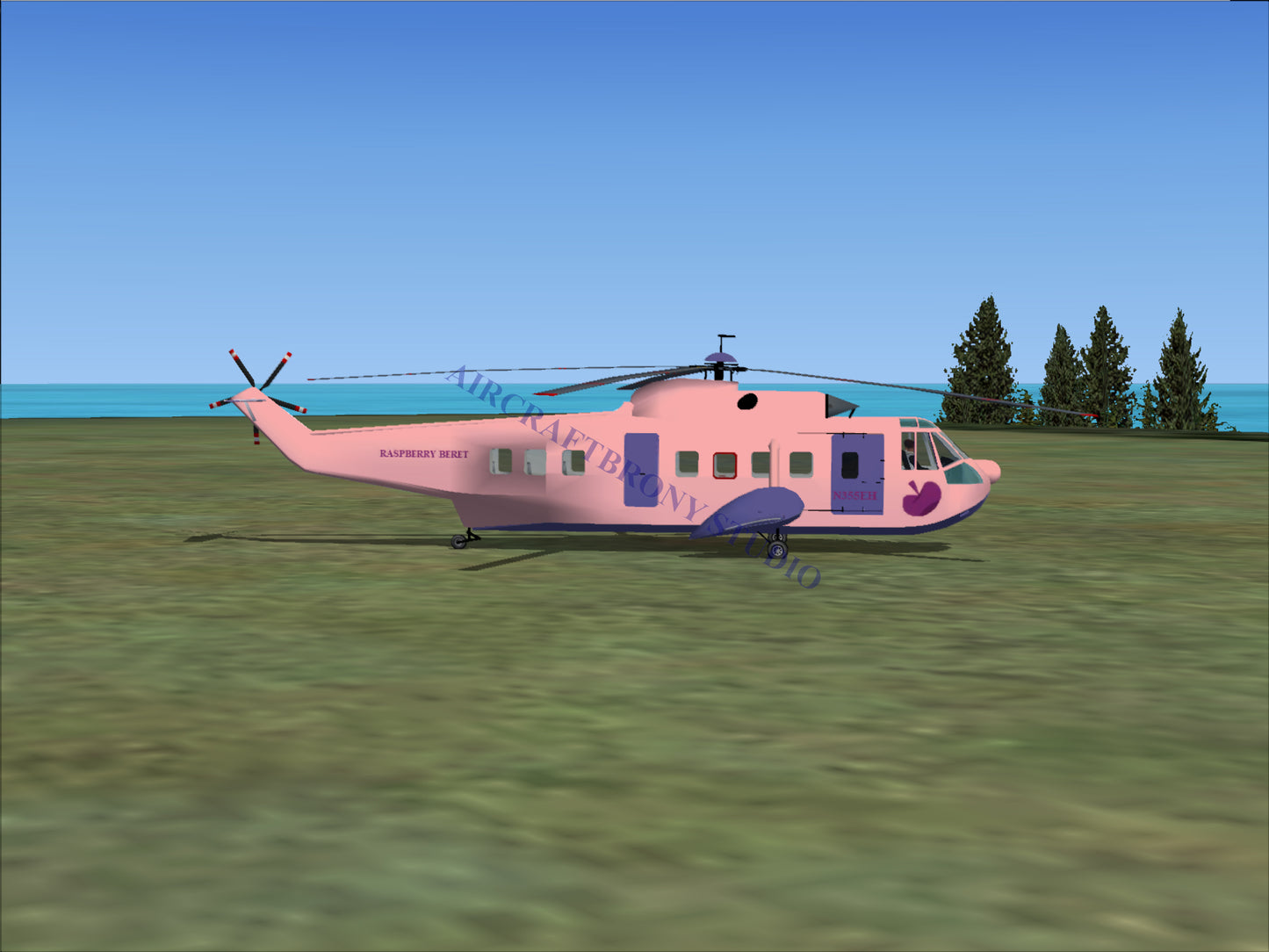 Raspberry Beret Sikorsky S-61N (Digital Image) Digital Image