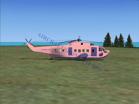 Raspberry Beret Sikorsky S-61N (Digital Image) Digital Image