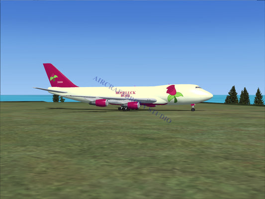 Roseluck Rose Boeing 747-200 (Digital Image) Digital Image