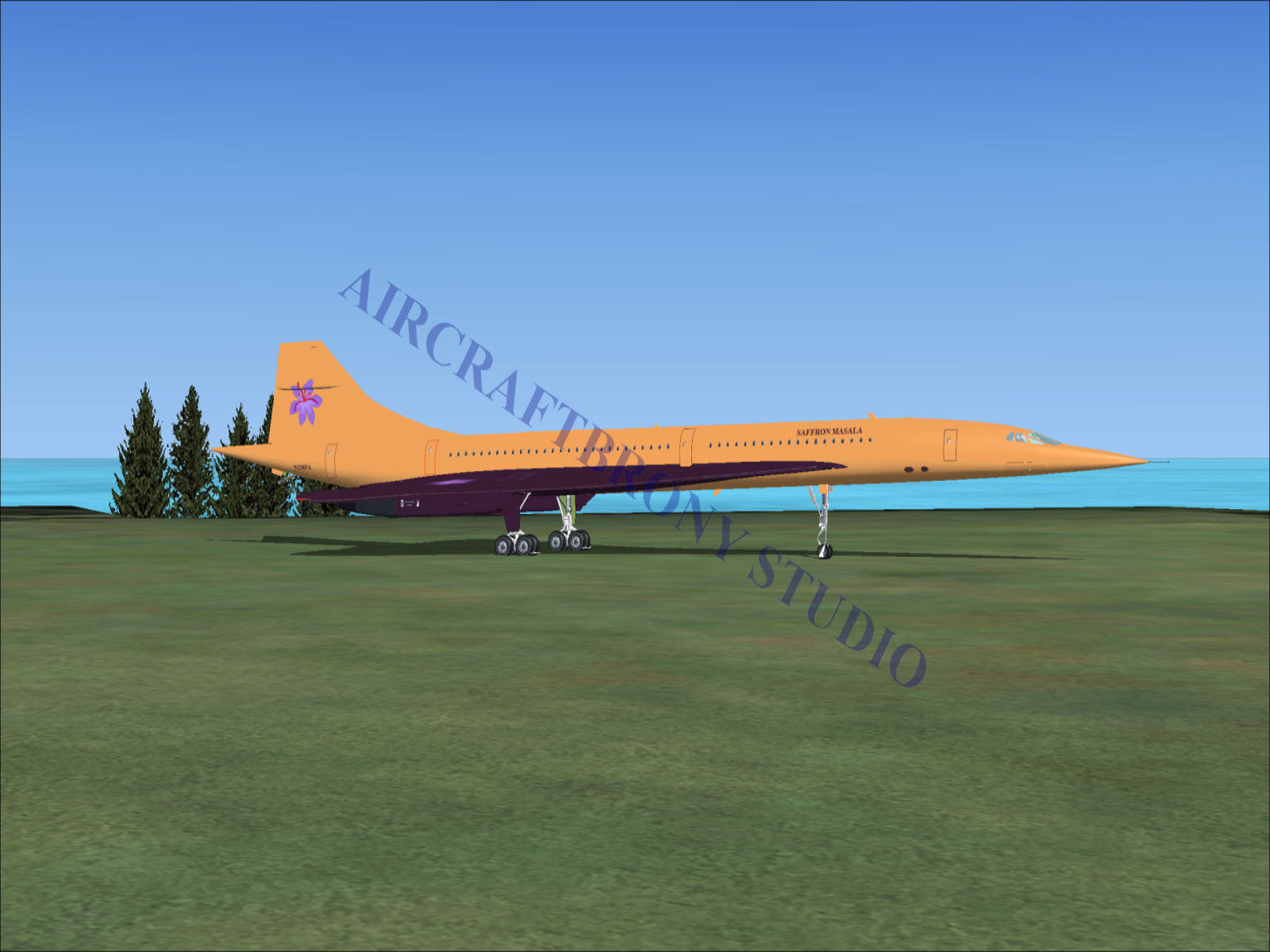 Saffron Masala Aerospatiale Concorde (Digital Image) Digital Image