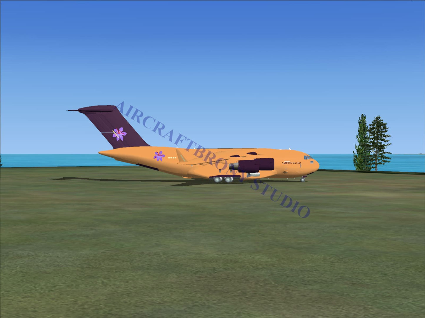 A tan and purple saffron masala boeing c-17 cargo plane with floral decals and a rear loading ramp visible from the back