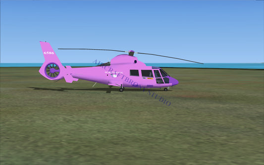 Screwball Aerospatiale HH65 Dolphin (Digital Image) Digital Image