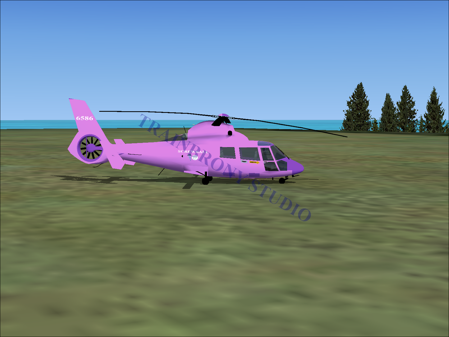 Screwball Aerospatiale HH65 Dolphin (Digital Image) Digital Image