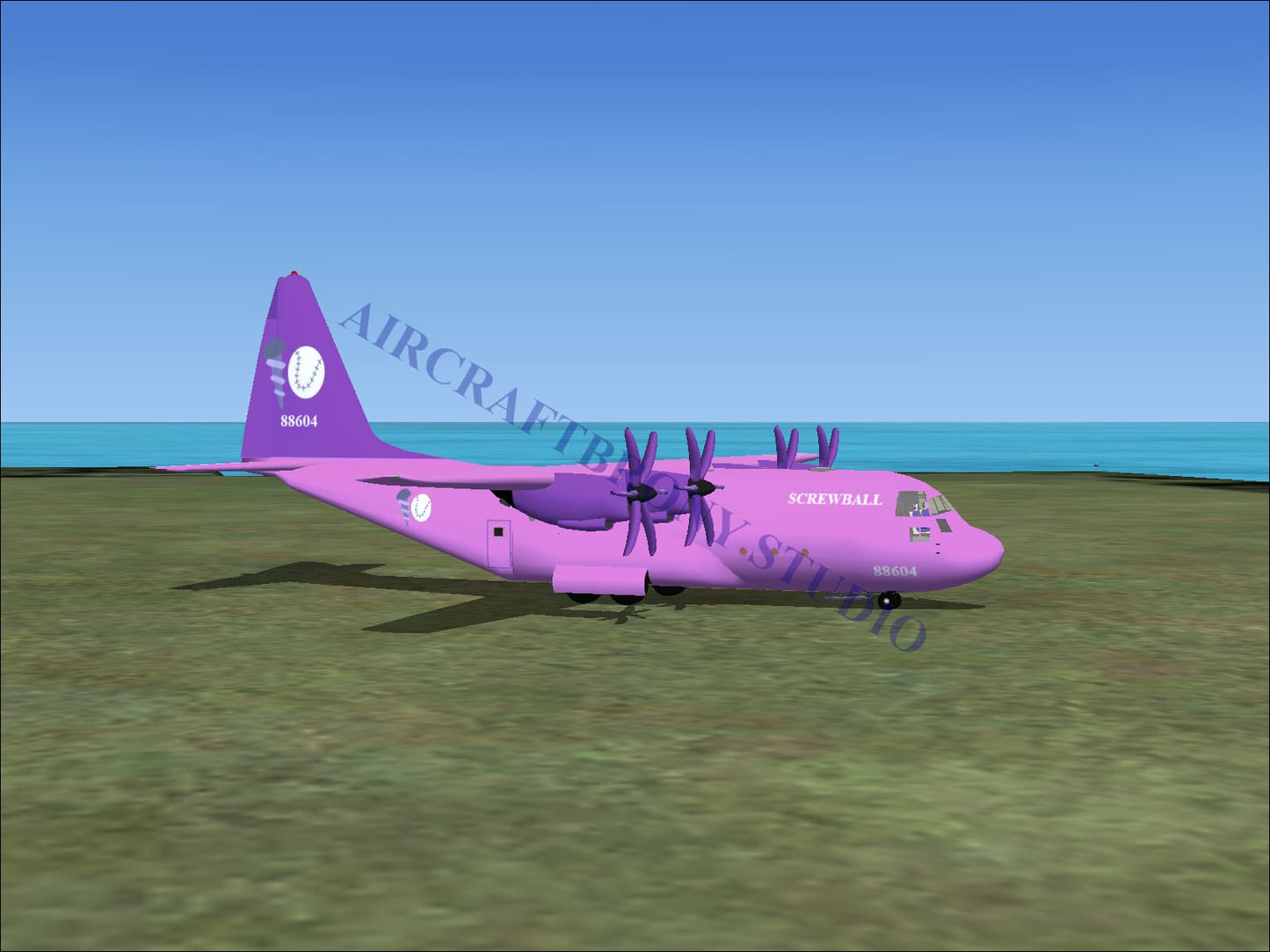 Screwball Lockheed C-130 (Digital Image) Digital Image