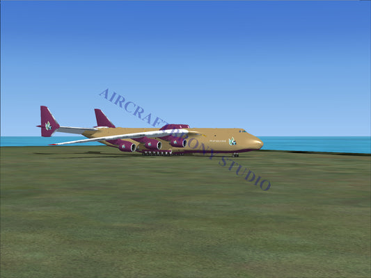 A beige cargo aircraft with maroon accents.