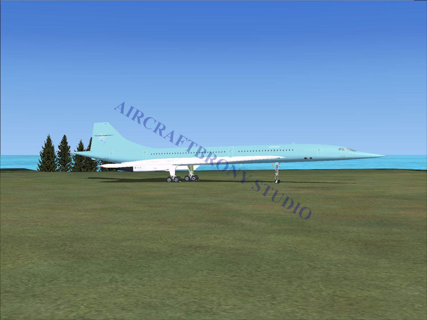 Snowdrop Aerospatiale Concorde (Digital Image) Digital Image