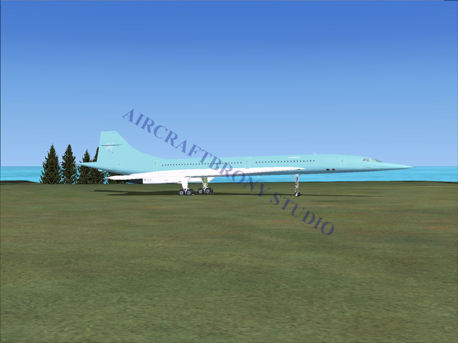 Snowdrop Aerospatiale Concorde (Digital Image) Digital Image