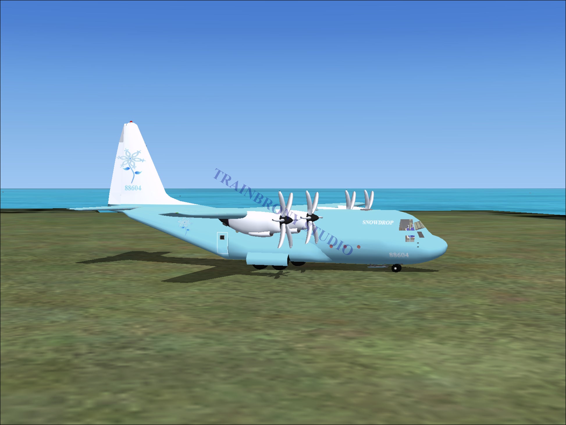 Snowdrop Lockheed C-130 (Digital Image) Digital Image