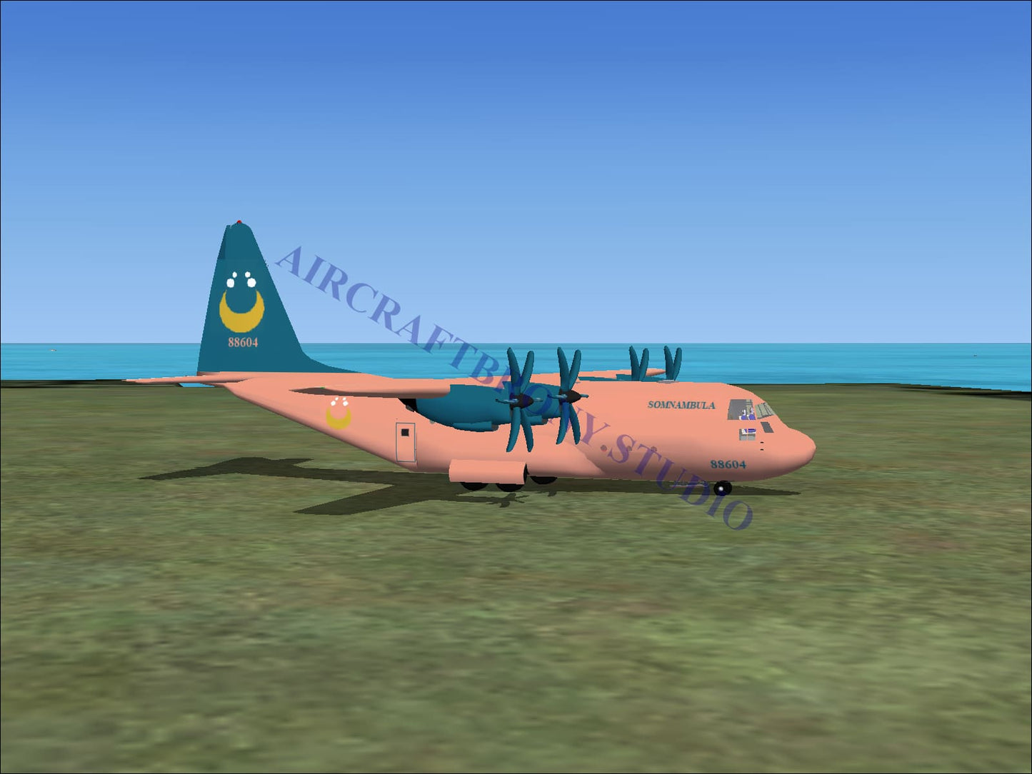 Somnambula Lockheed C-130 (Digital Image) Digital Image