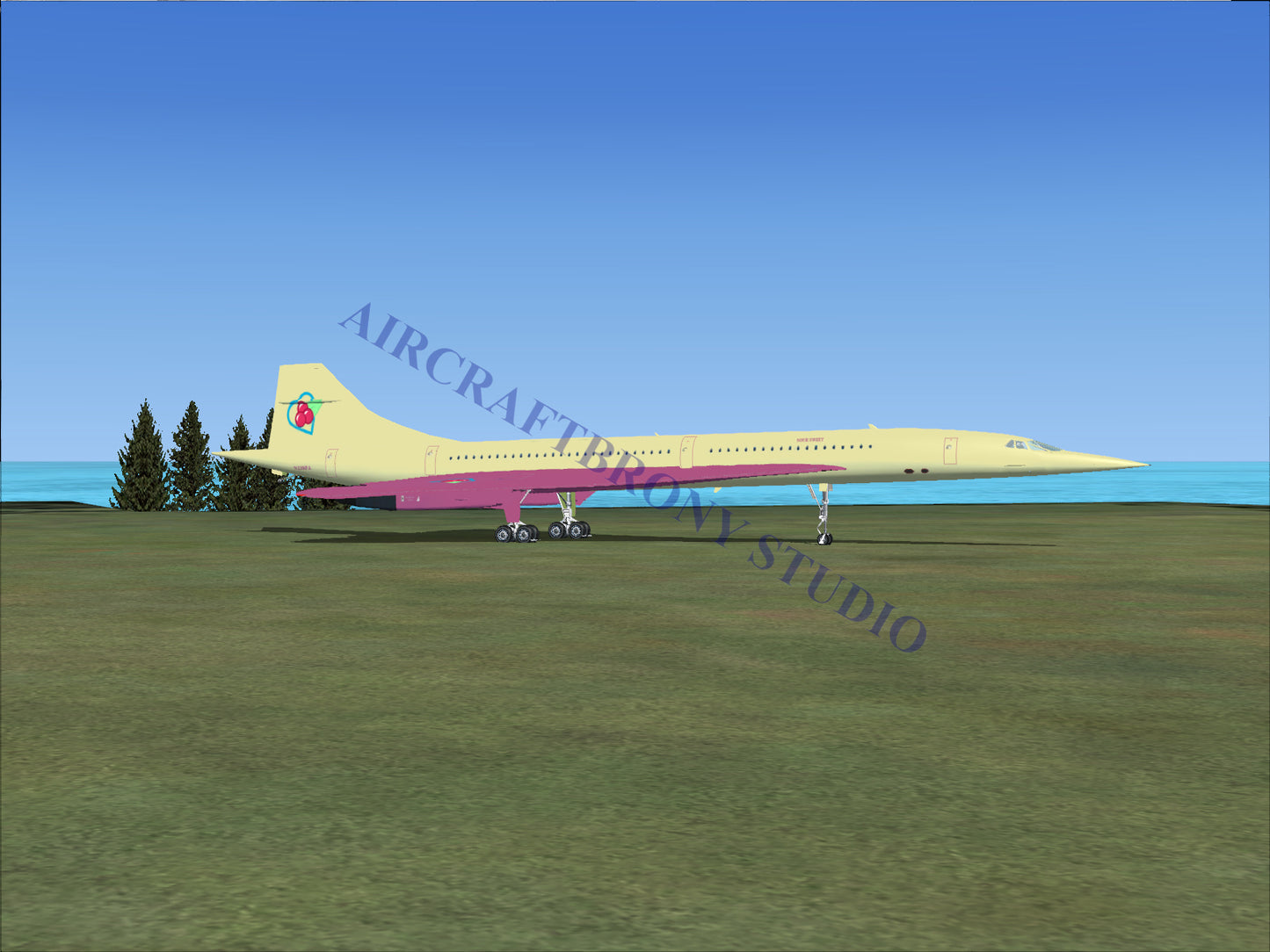 Sour Sweet Aerospatiale Concorde (Digital Image) Digital Image