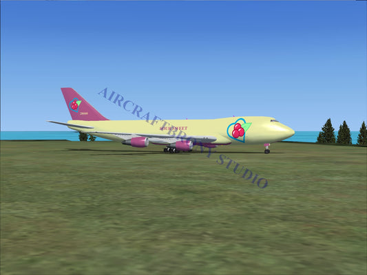 Sour Sweet Boeing 747-200 (Digital Image) Digital Image