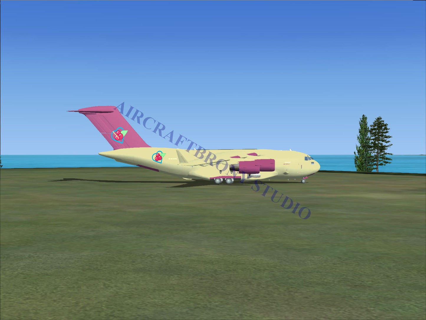 Sour Sweet Boeing C-17 (Digital Image) Digital Image