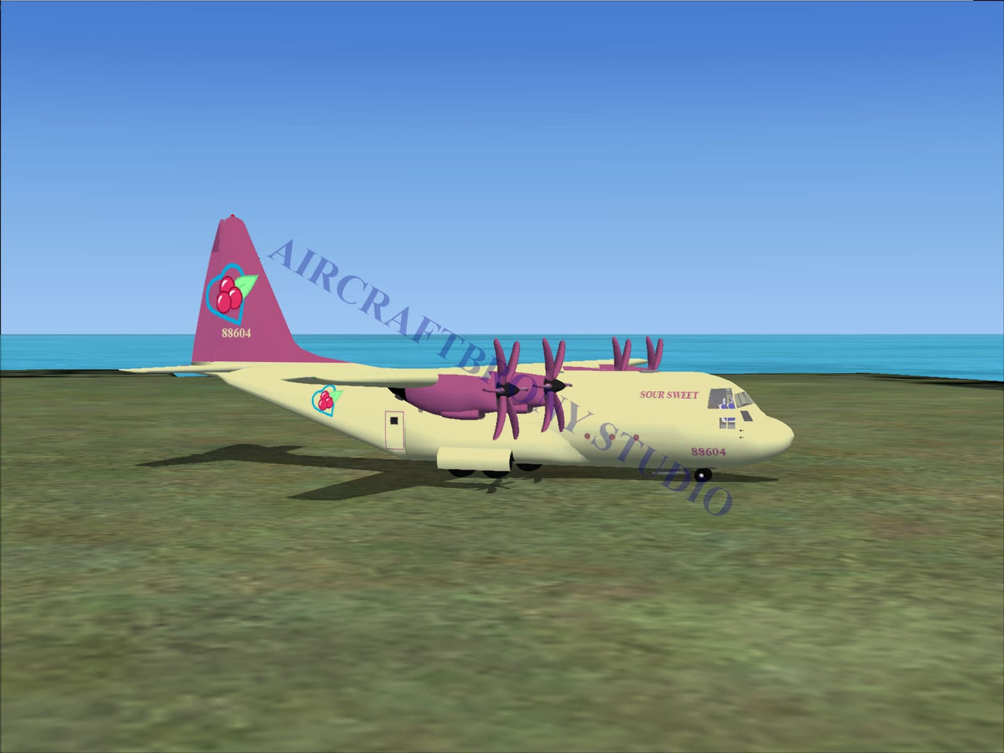 Sour Sweet Lockheed C-130 (Digital Image) Digital Image