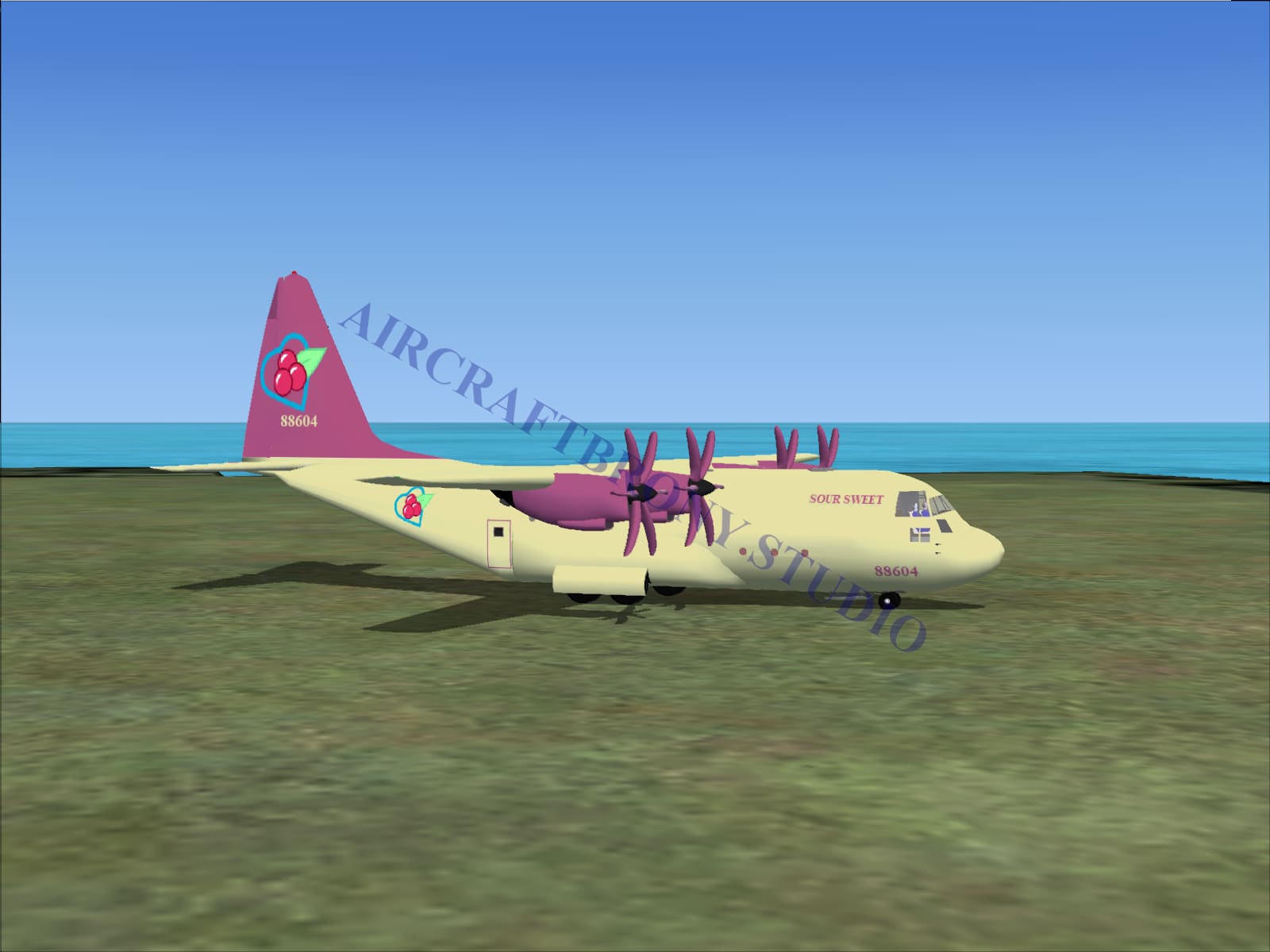 Sour Sweet Lockheed C-130 (Digital Image) Digital Image