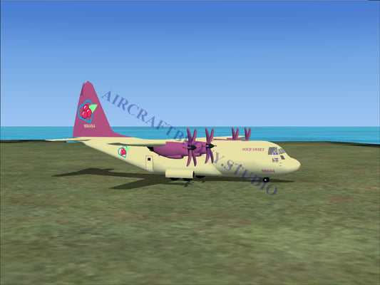 Sour Sweet Lockheed C-130 (Digital Image) Digital Image