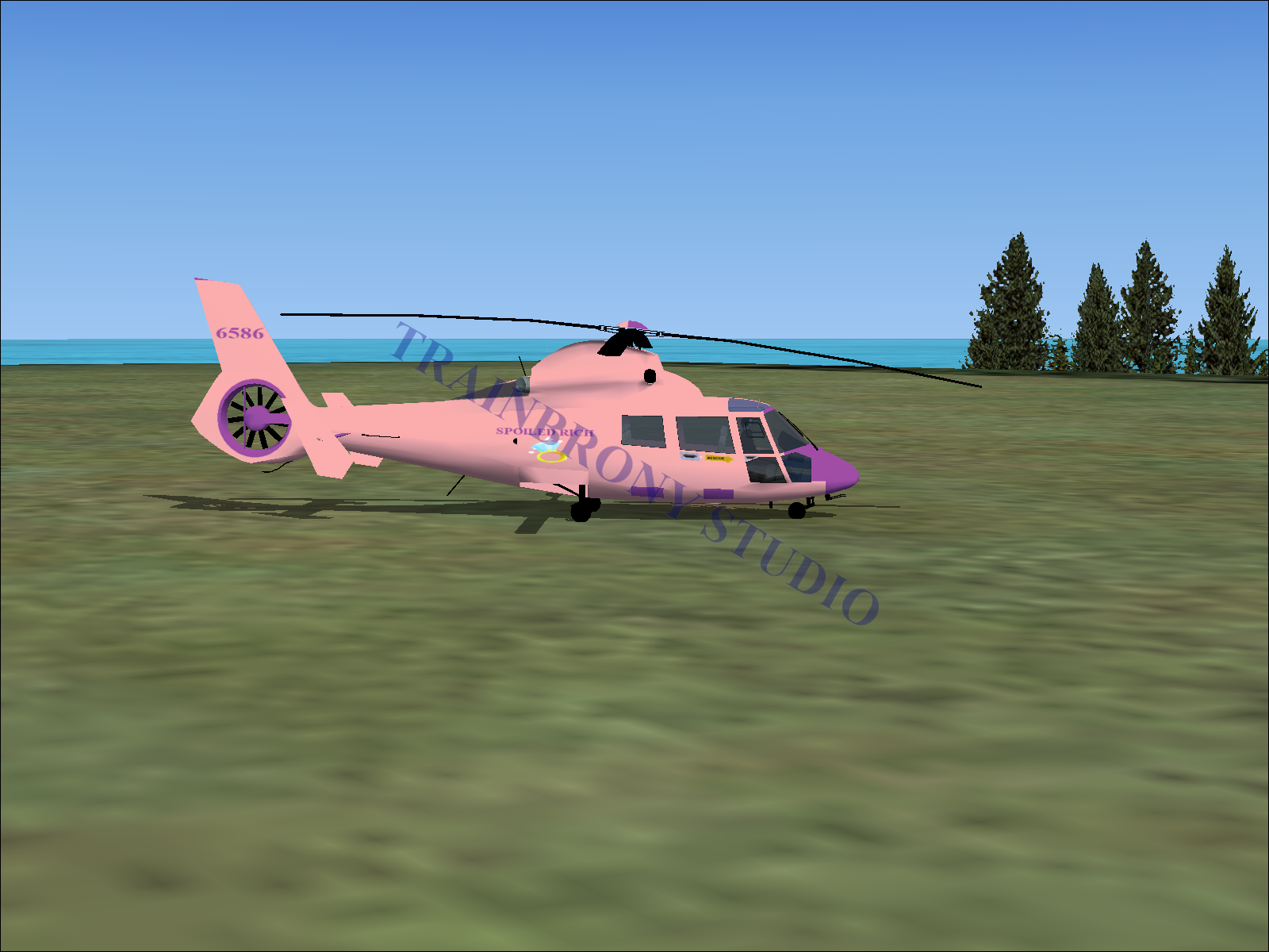 Spoiled Rich Aerospatiale HH65 Dolphin (Digital Image) Digital Image